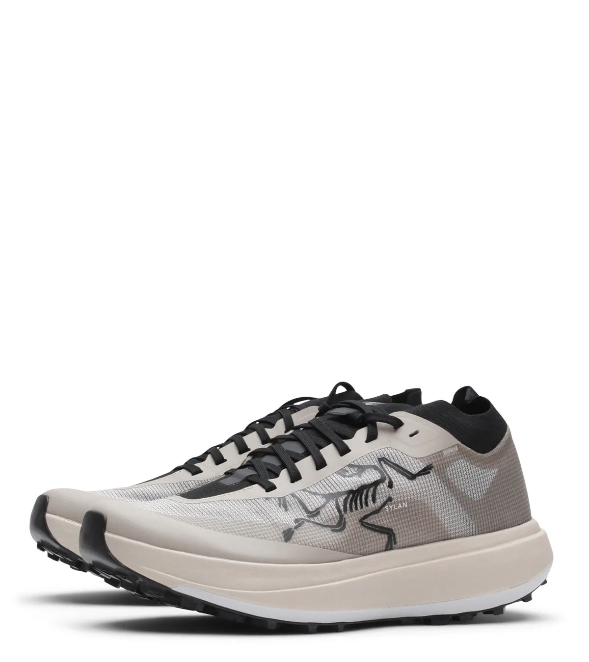 Arc'teryx Sylan Pro Rune
