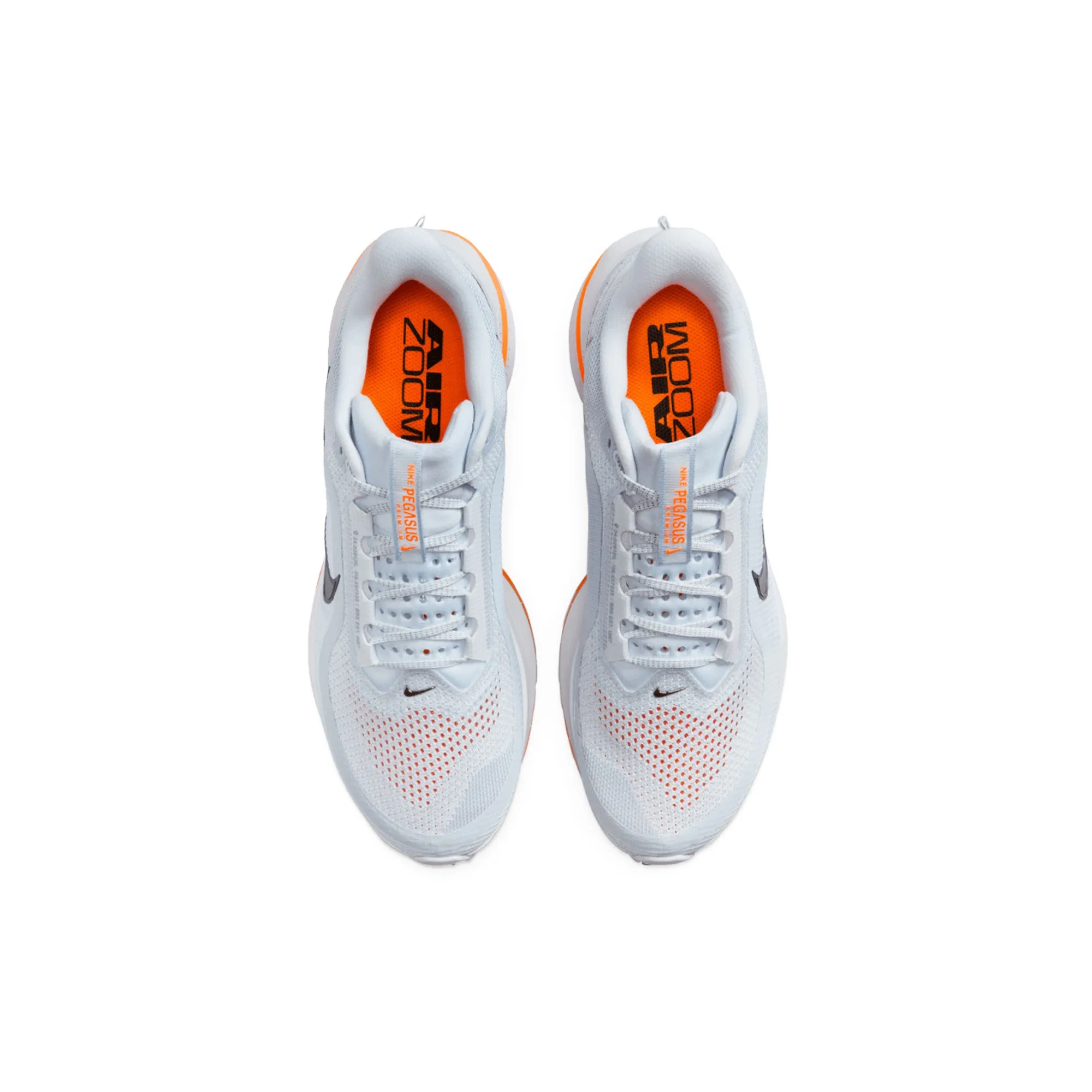 Nike Air Zoom Pegasus Premium 'Airscape' (2025)