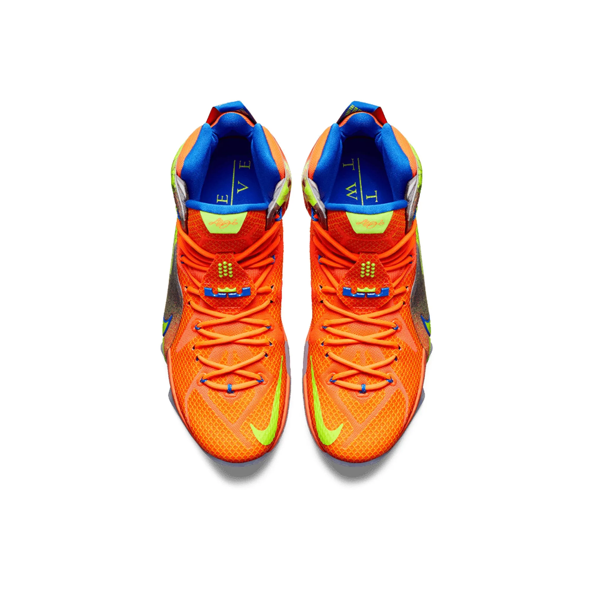 Nike LeBron 12 'Six Meridians' (2014)