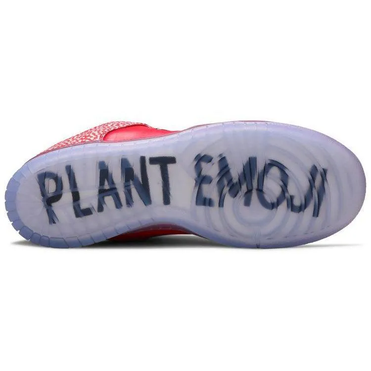 Shoes Nike Nike Stingwater x Dunk Low SB 'Magic Mushroom'