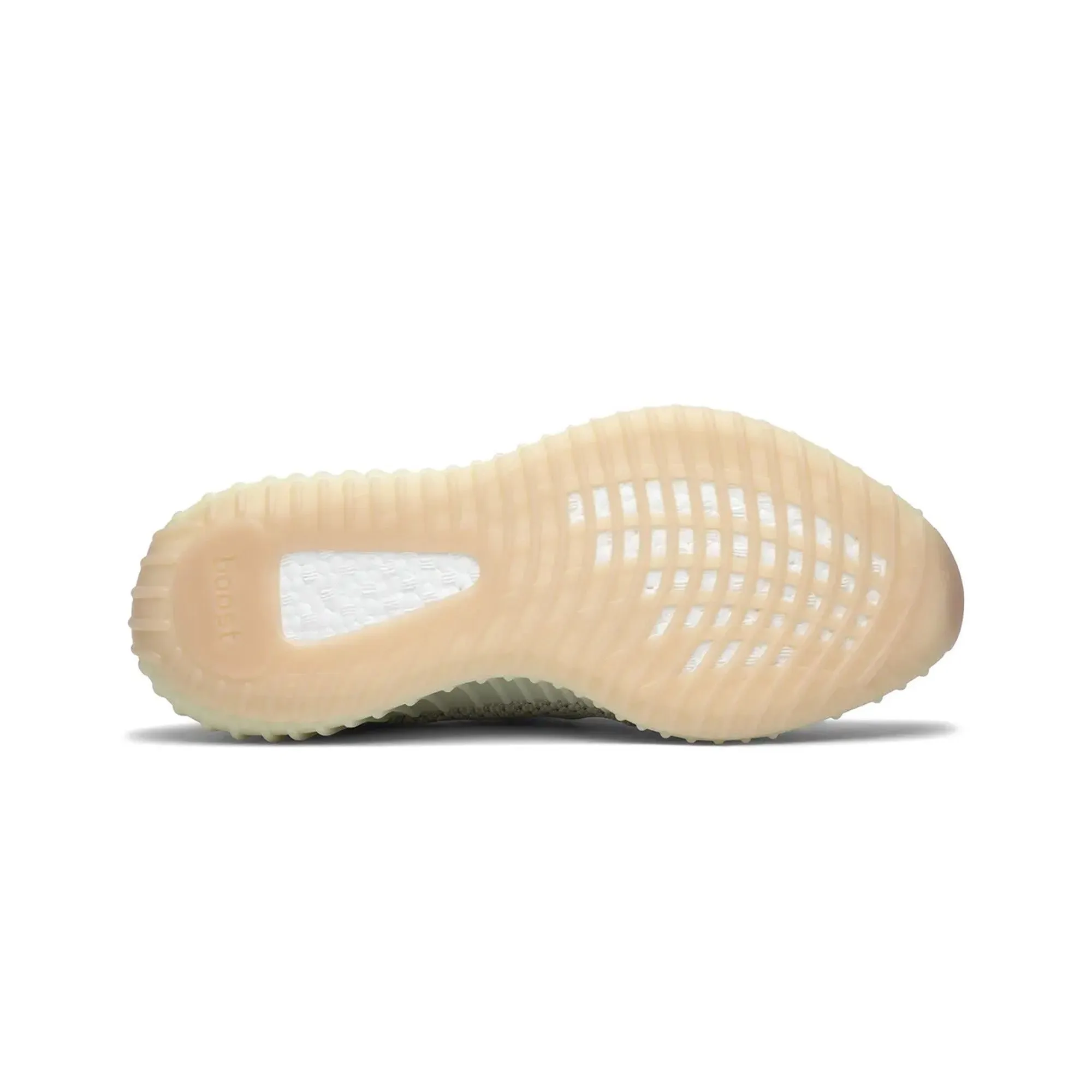 Yeezy Boost 350 V2 'Antlia' (New)